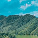 알파목장 이미지