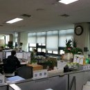 경기도 안양시 동안구청 이미지