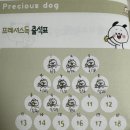 프레셔스독 이미지