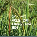 새로운 꿈 이미지