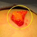 대일유외과의원 이미지