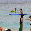 와이키키 이미지