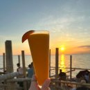 반딧불 | 보홀 ,선셋,반딧불 투어 후기 픽드랍,마이리얼트립 예약