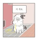 멍멍아 또 와 이미지