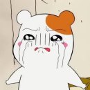 에밀리펫 이미지