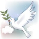 <둘레길> 서울둘레길 8코스+ 북한산둘레길(구름정원길, 옛성길, 평창마을길) - 2020.10.17
