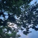 용추폭포가든 이미지