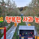 사광농장 이미지