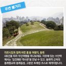 서동미로시장 이미지