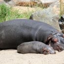 수뿔마을 이미지