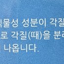 코스마인 이미지