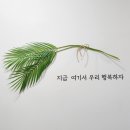 통영바라봄펜션 | 통영 바다뷰 독채 감성 펜션 바라봄 펜션 vip실 후기