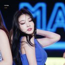 술시 Daum카페