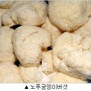 푸른환경개발
