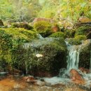 (주)리코 이미지