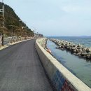 환호해맞이공원 이미지