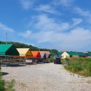 밀알농원 | 아이와 대부도 '바다의별 캠핑장' 타프존+온수수영장+바다캠핑장 후기