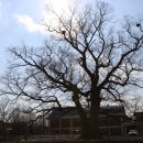 한재초등학교 이미지