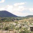 숲속의헬스 이미지