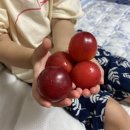 구로야채청과