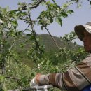 갈계리농장 이미지