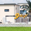 나인독스 이미지