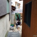 박존옥 천마설렁탕 & 갈비탕 이미지