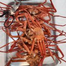 동해회식당 이미지
