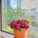 햇살가득한의원 이미지