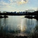 강원도립화목원 | 춘천의 봄, 분홍빛 설레임: 벚꽃 명소와 강원도립화목원 나들이 🌸