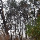 장지약수터 이미지