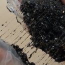 흙사랑 다육식물농원 | 학교·기관 출강 수업으로 인기 많은 다육아트 클래스