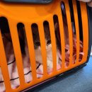24시 서울YES동물병원 이미지