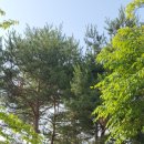 돌실공원 이미지