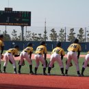 달빛축제공원(리틀야구장) 이미지
