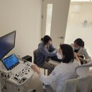 동백동물병원 | 동백동물병원, 강아지 빈혈 잇몸 색깔이 연해진다면 주의하셔야합니다