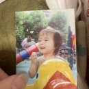 선진주 이미지
