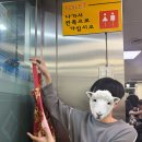 지옥떡볶이 | 서울 신당동 떡볶이 맛집 마복림할머니집 내돈내산 첫 방문 후기