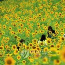 태백구와우구와우카페