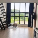 ROSA펜션 이미지