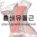 PT연구소 이미지