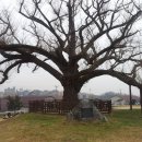 오산골프클럽 이미지