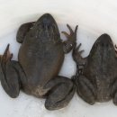 전의의원 이미지