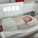 행복한이불 - 태안군 시장1길 35-22 | 모로반사 있는 우리 아기 꿀잠 재워주는 머미쿨쿨 올인원 (a.k.a 좁쌀이불)