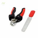 미나애견 이미지