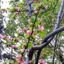 고성농장 이미지