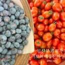 해든스토어
