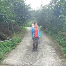 길손민박 이미지