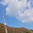 영천 도리마을 이미지