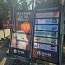 [청산수목원]태안 가볼만한 곳, 태안 나들이_팜파스,핑크뮬리